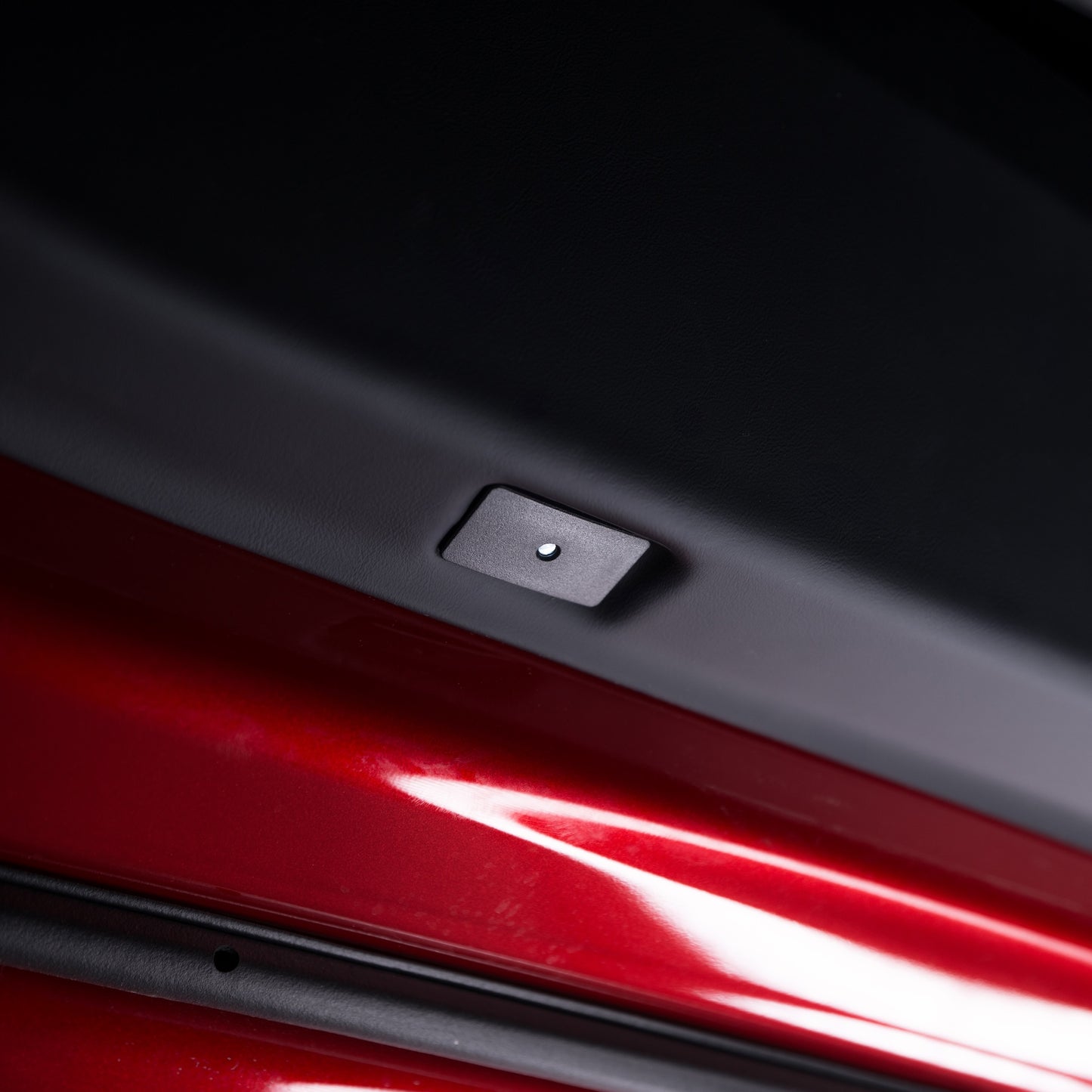 Wordmark Puddle Lights for Model 3 Highland & Model Y Juniper